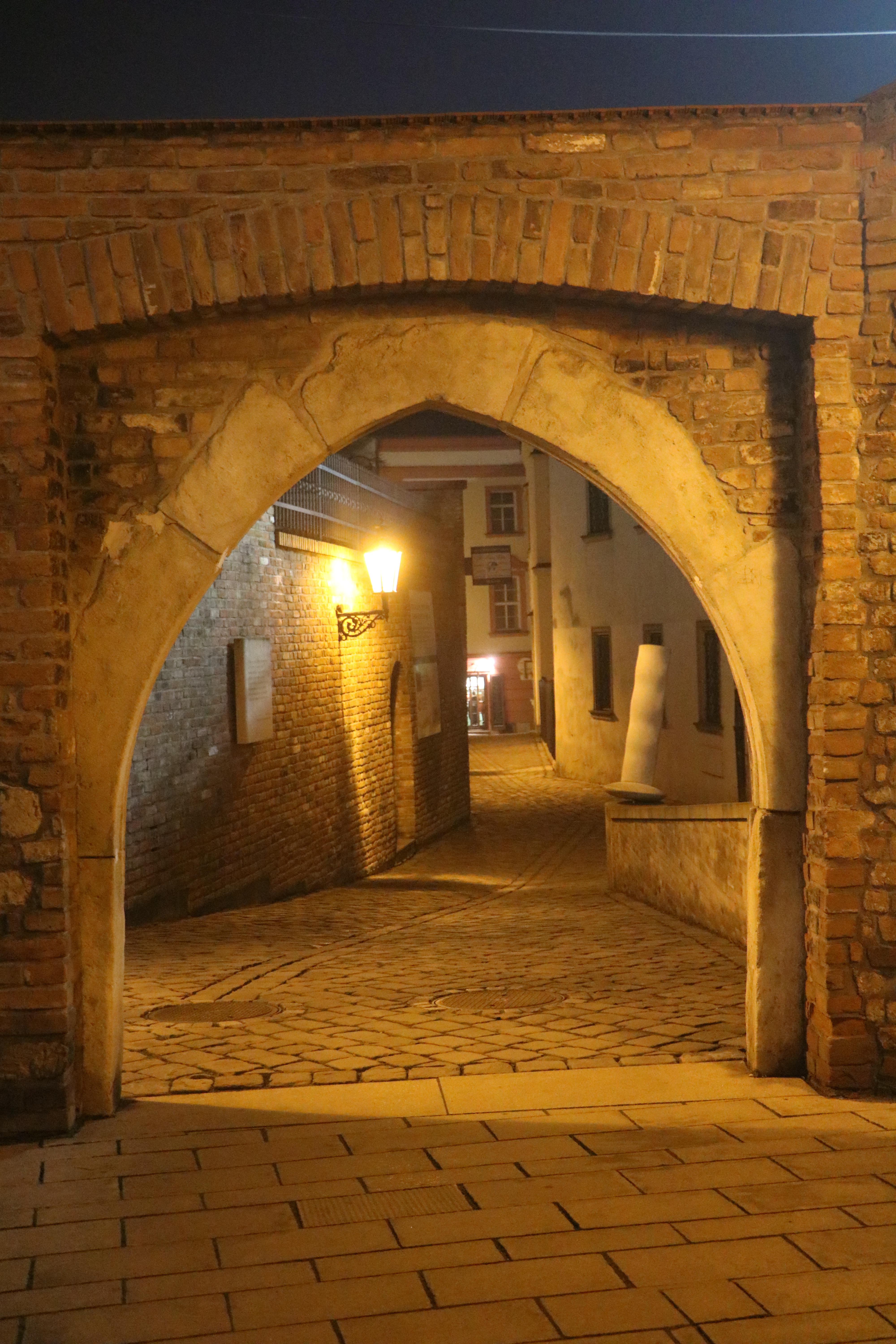 [
Uli&ccaron;ka V&aacute;clava Havla, Brno.  16 January 2020.
        ]