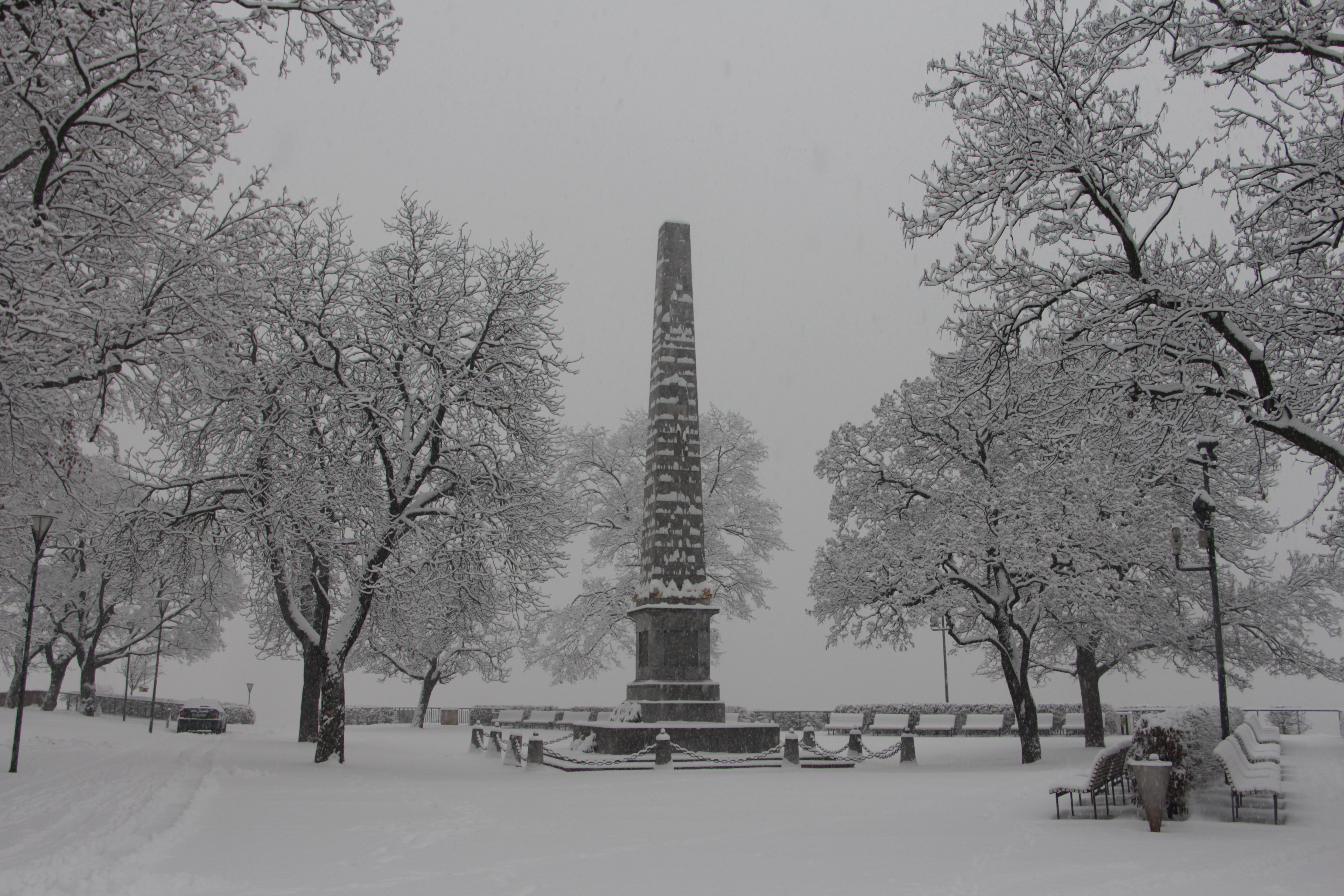 [
Denisovy sady, Brno.  28 January 2019.
        ]