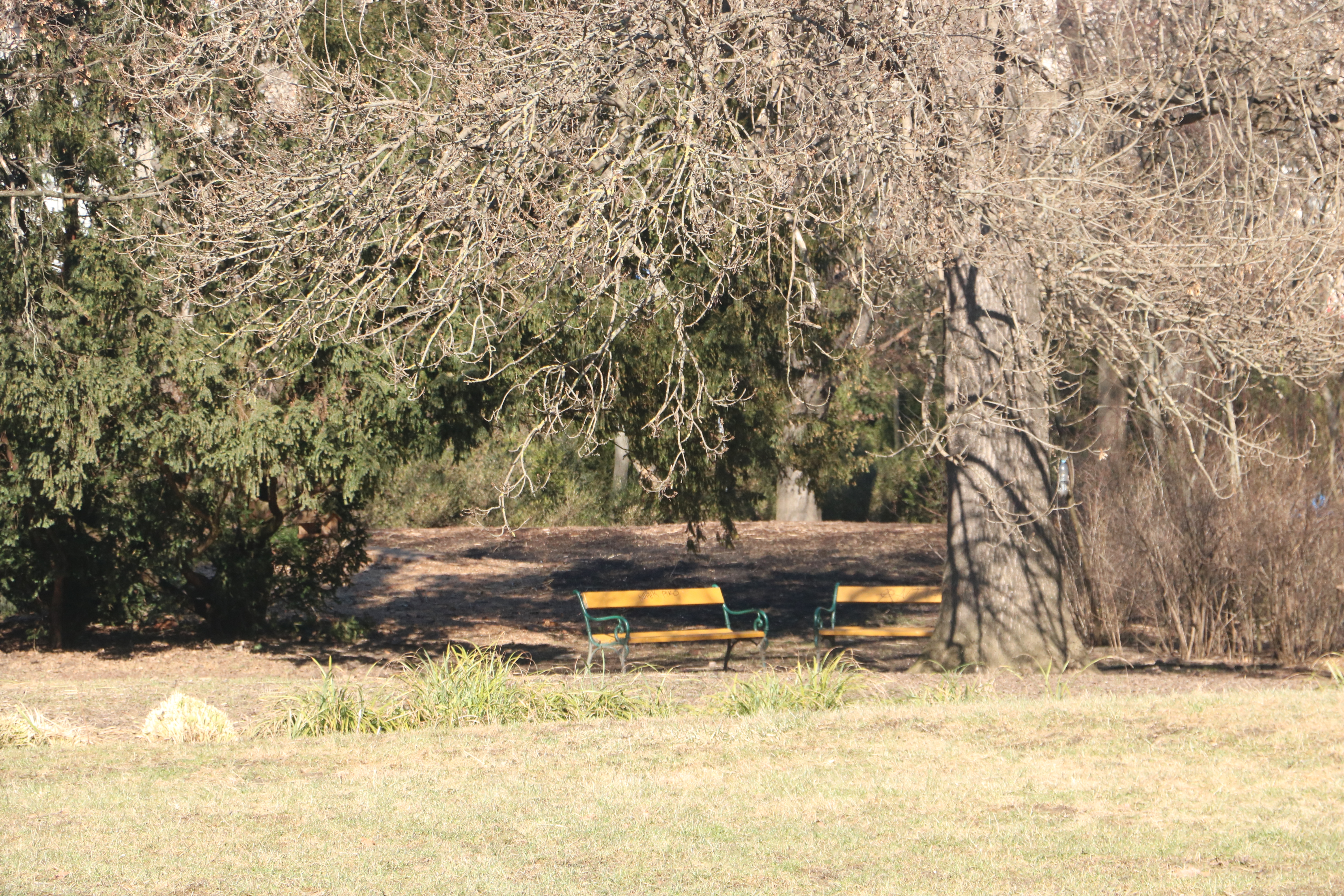 [
Park Luž&aacute;nky, Brno.  07 March 2021.
        ]