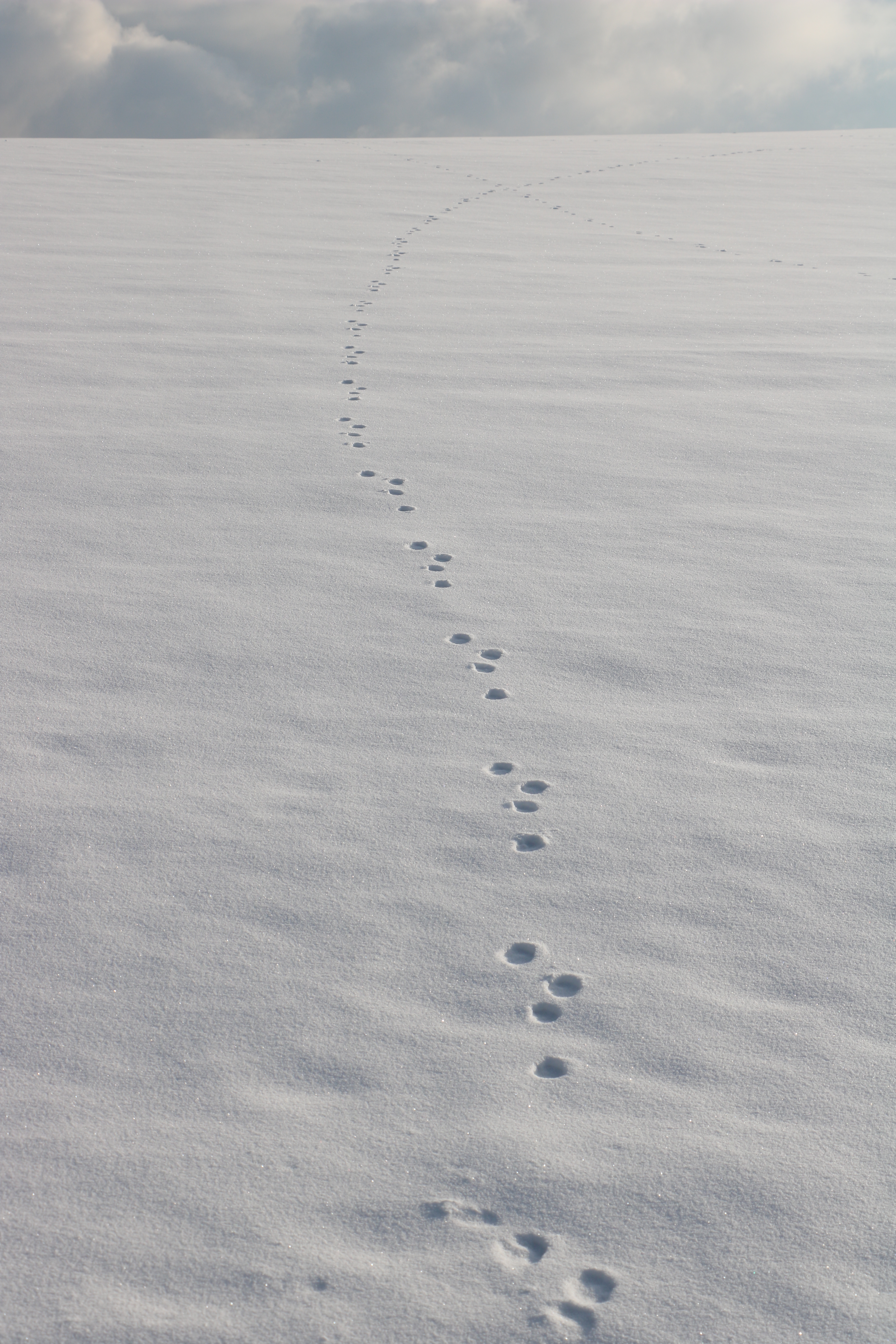 [
Krajina pobl&iacute;z Vlachovic.  12 February 2022.
        ]
