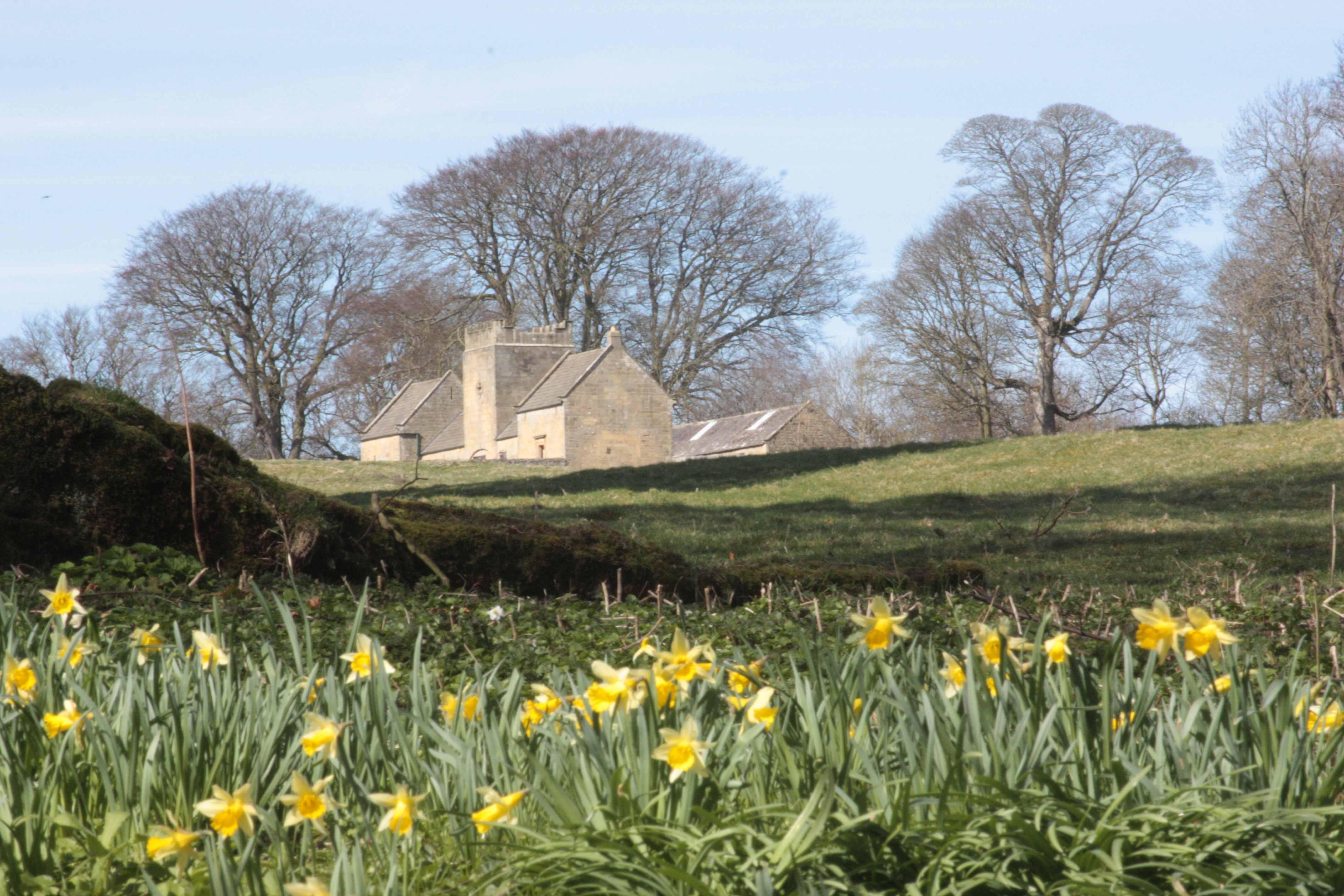 [
Belsay Hall and Gardens.  06 April, 2015.
        ]
