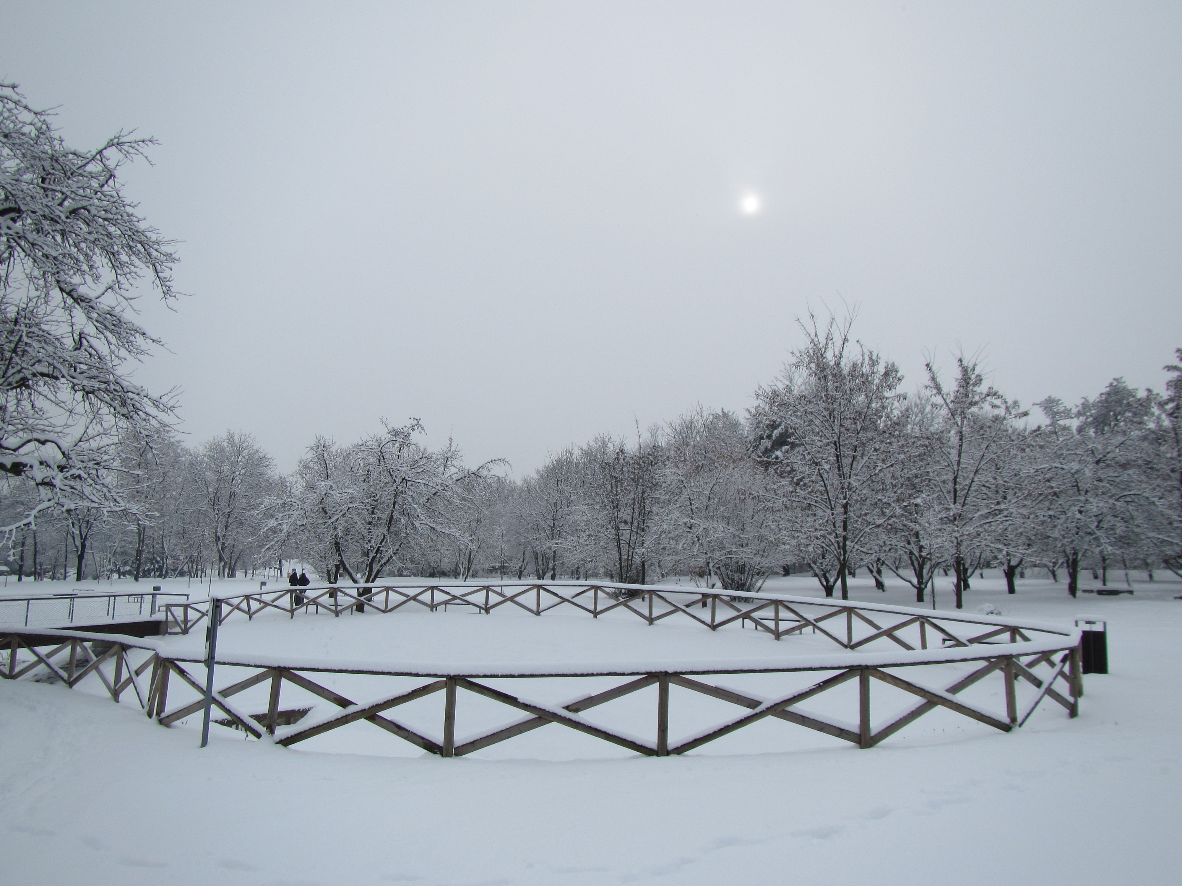 [
Technologick&yacute; park, Brno.  28 January 2019.
        ]