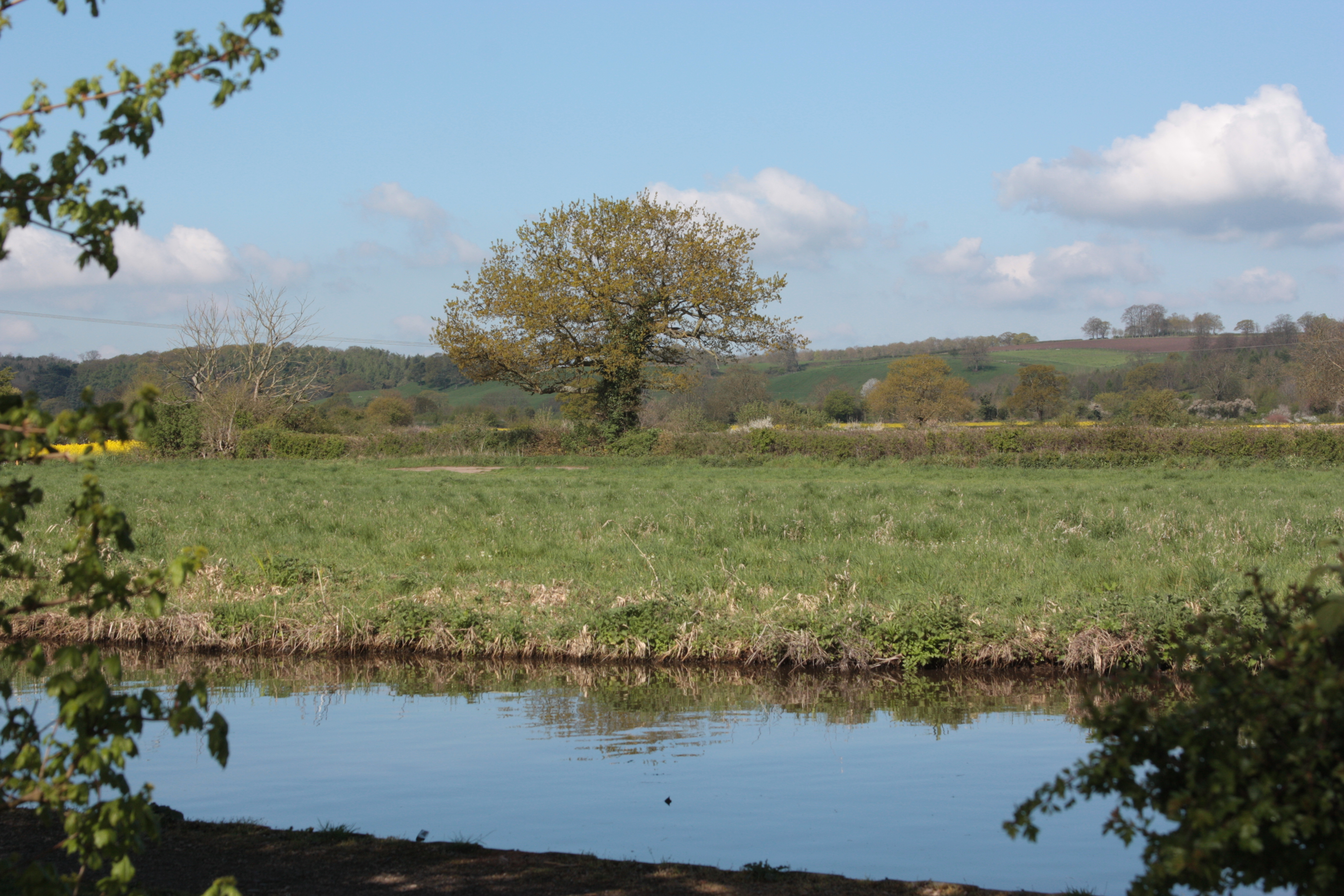 [
Trent & Mersey Canal at Branston Water Park.  26 April, 2015.
        ]