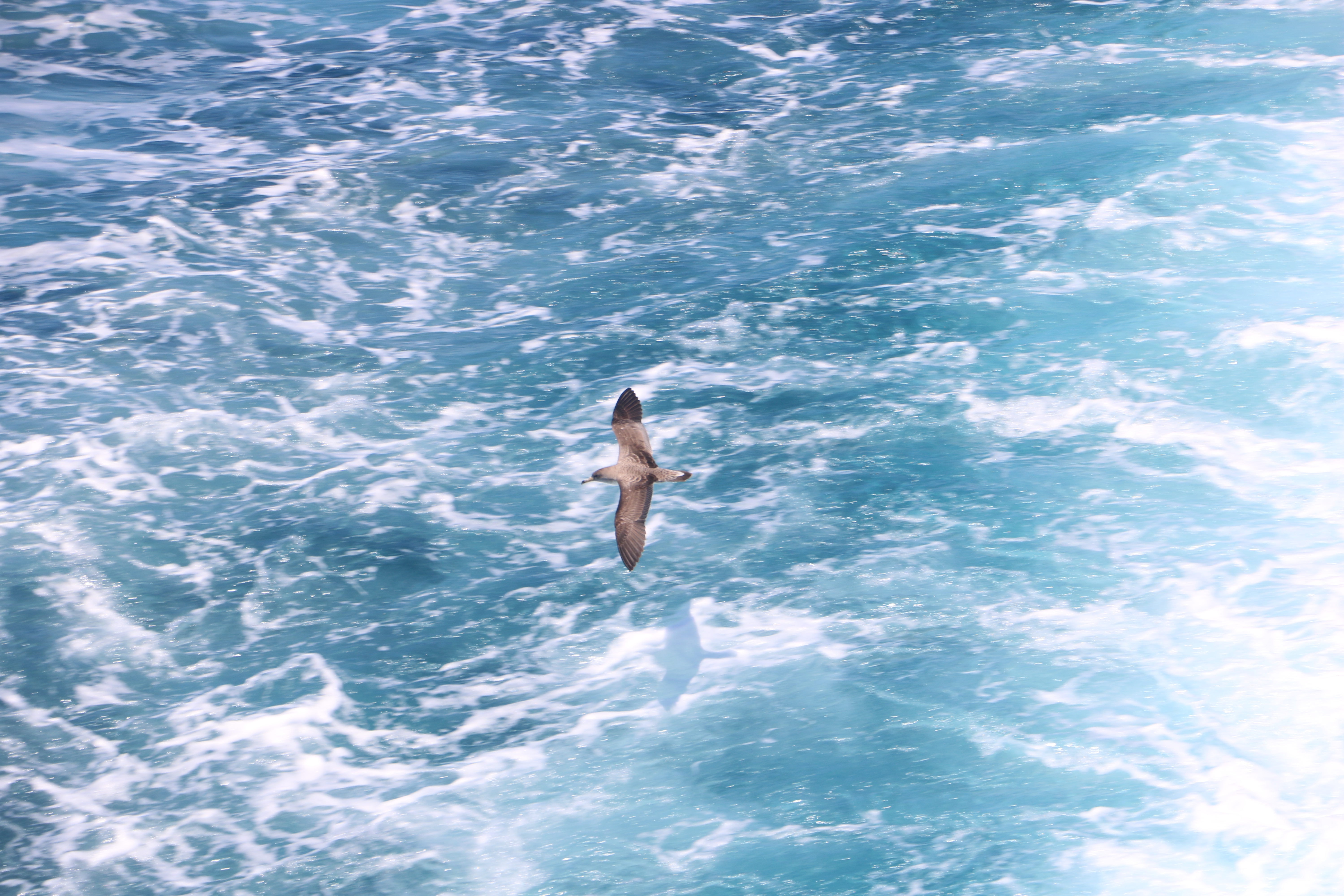 [
Saronic Gulf.  30 May 2022.
        ]