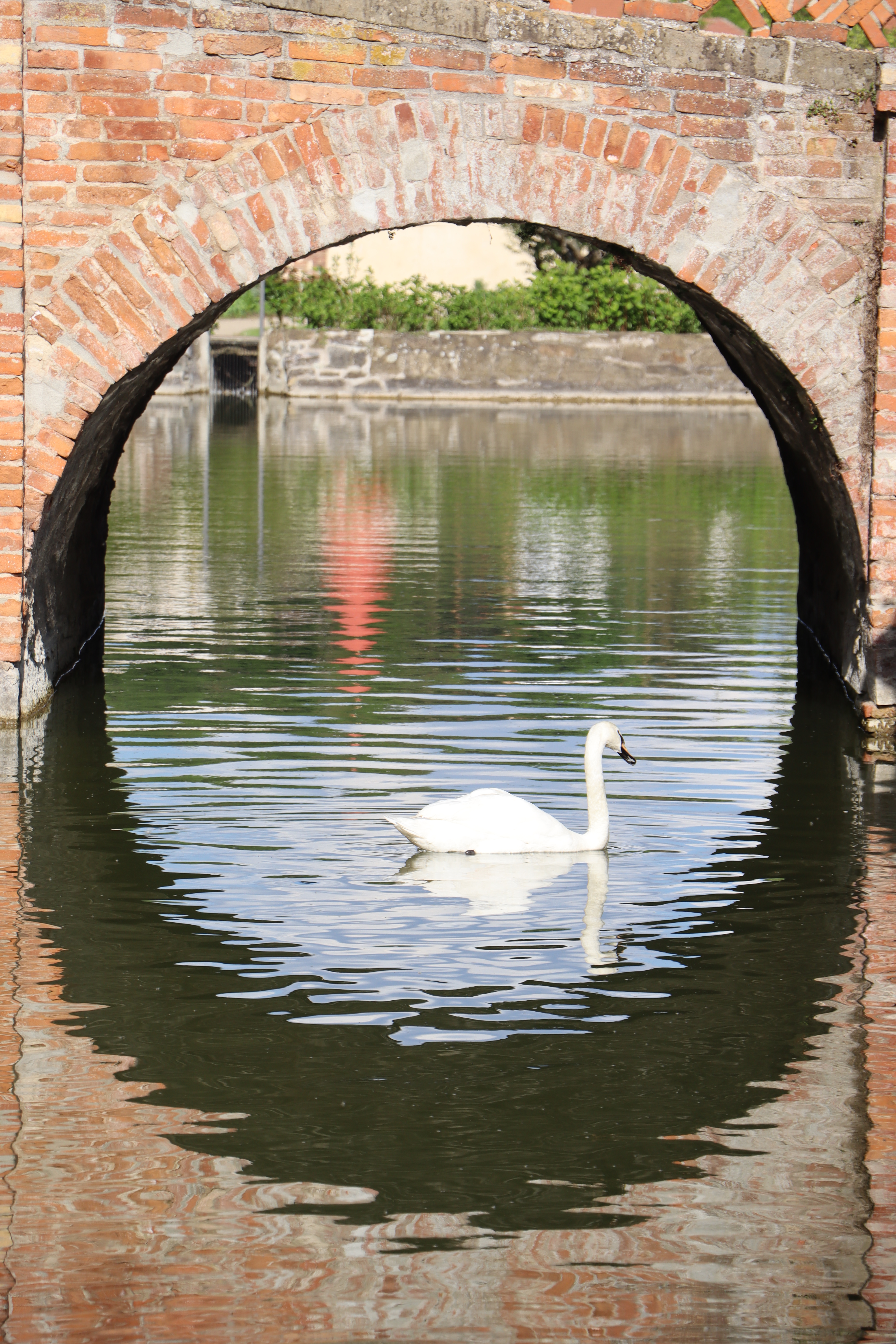 [
Z&aacute;mek Lysice.  01 May 2025.
        ]