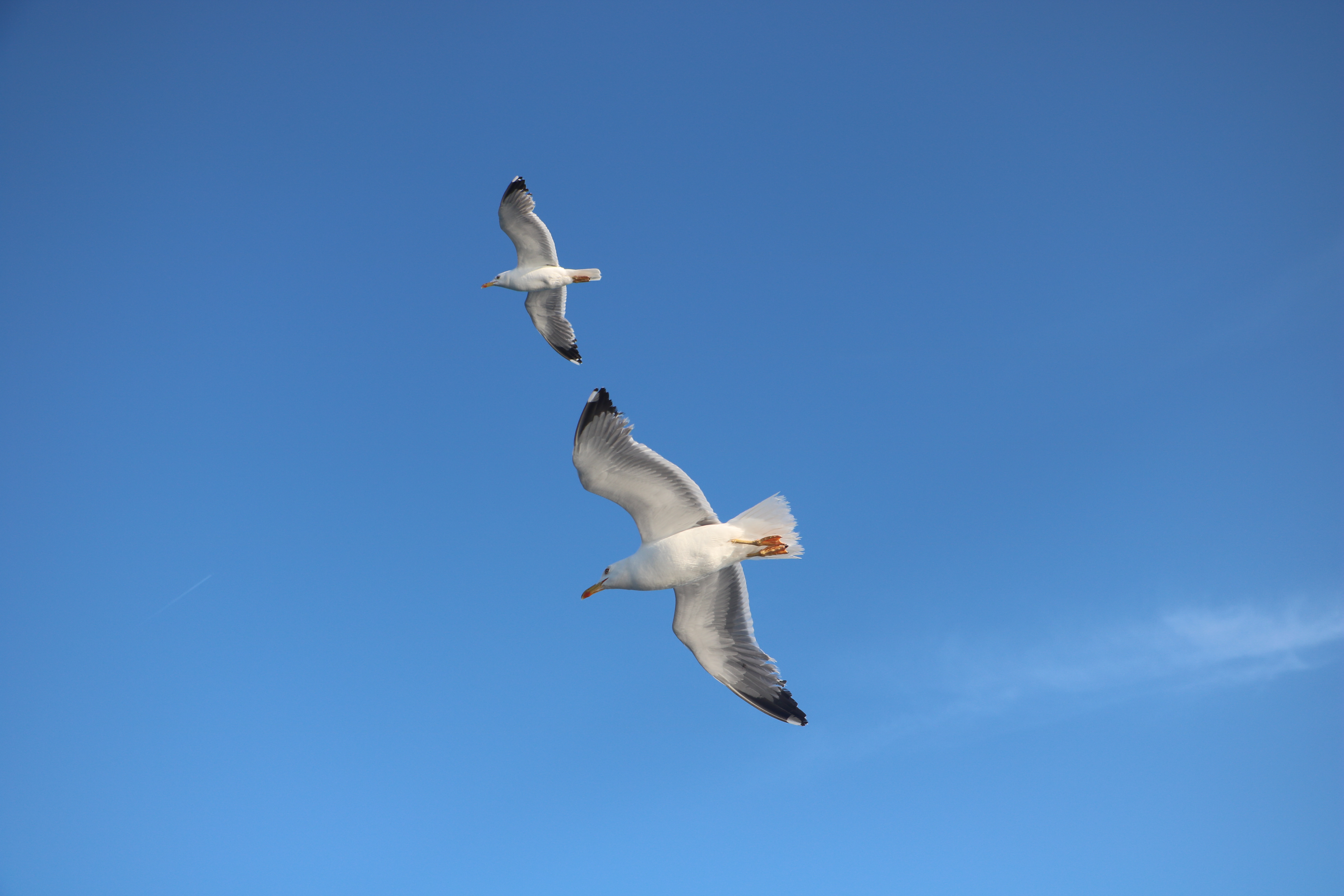 [
Saronic Gulf.  30 May 2022.
        ]