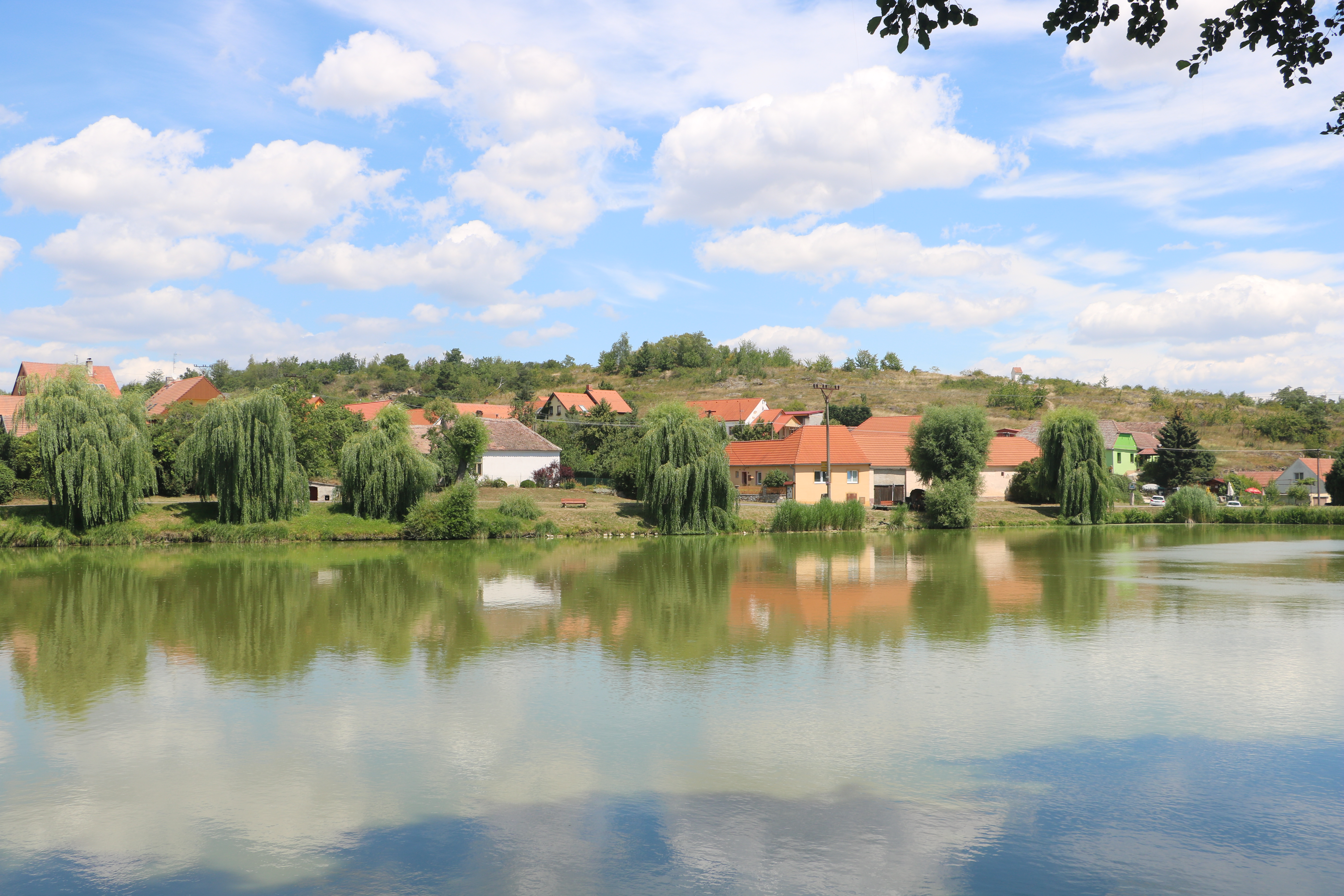 [
Hnanick&yacute; rybn&iacute;k.  16 July 2022.
        ]