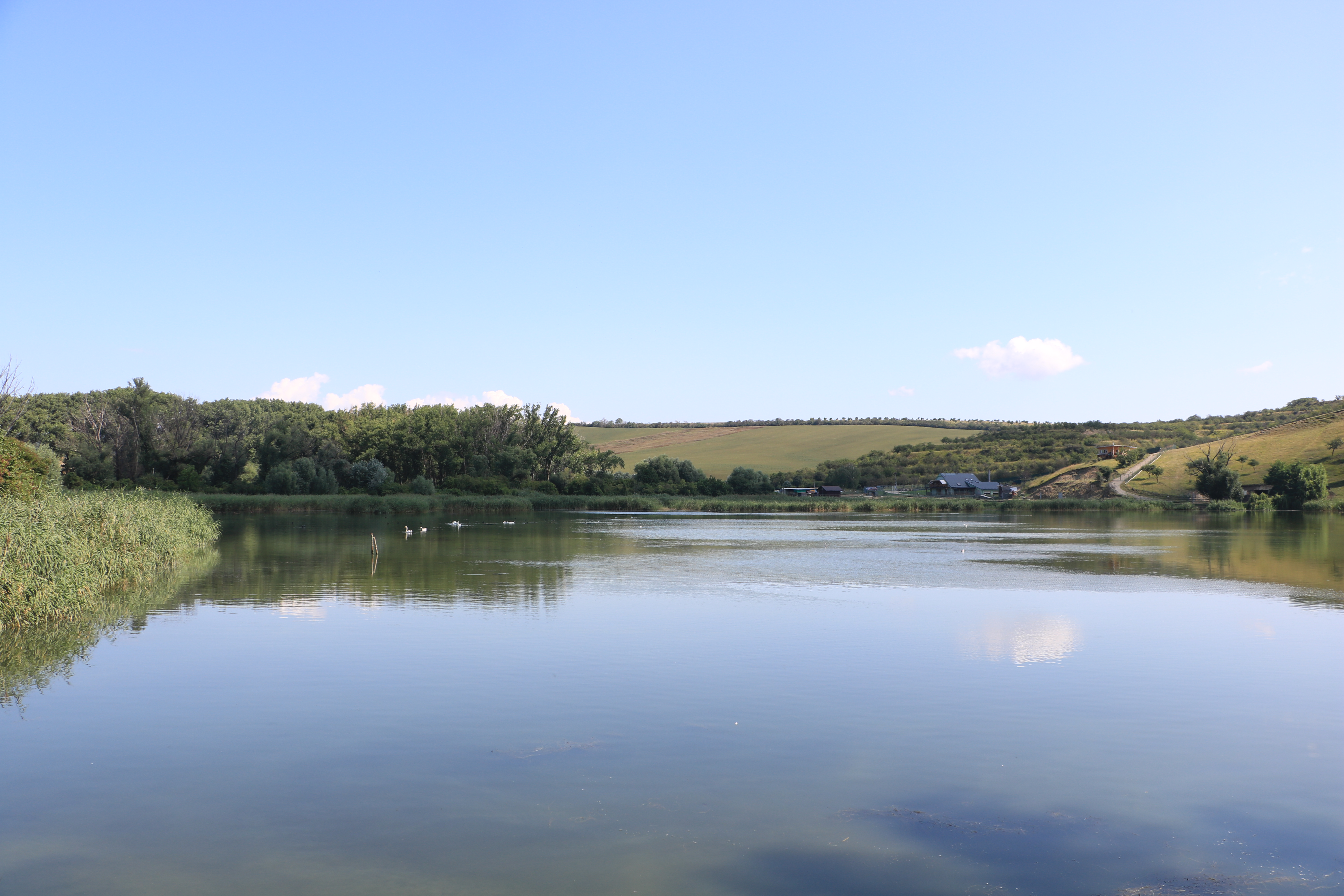 [
Kurd&ecaron;jovsk&yacute; rybn&iacute;k.  04 August 2019.
        ]