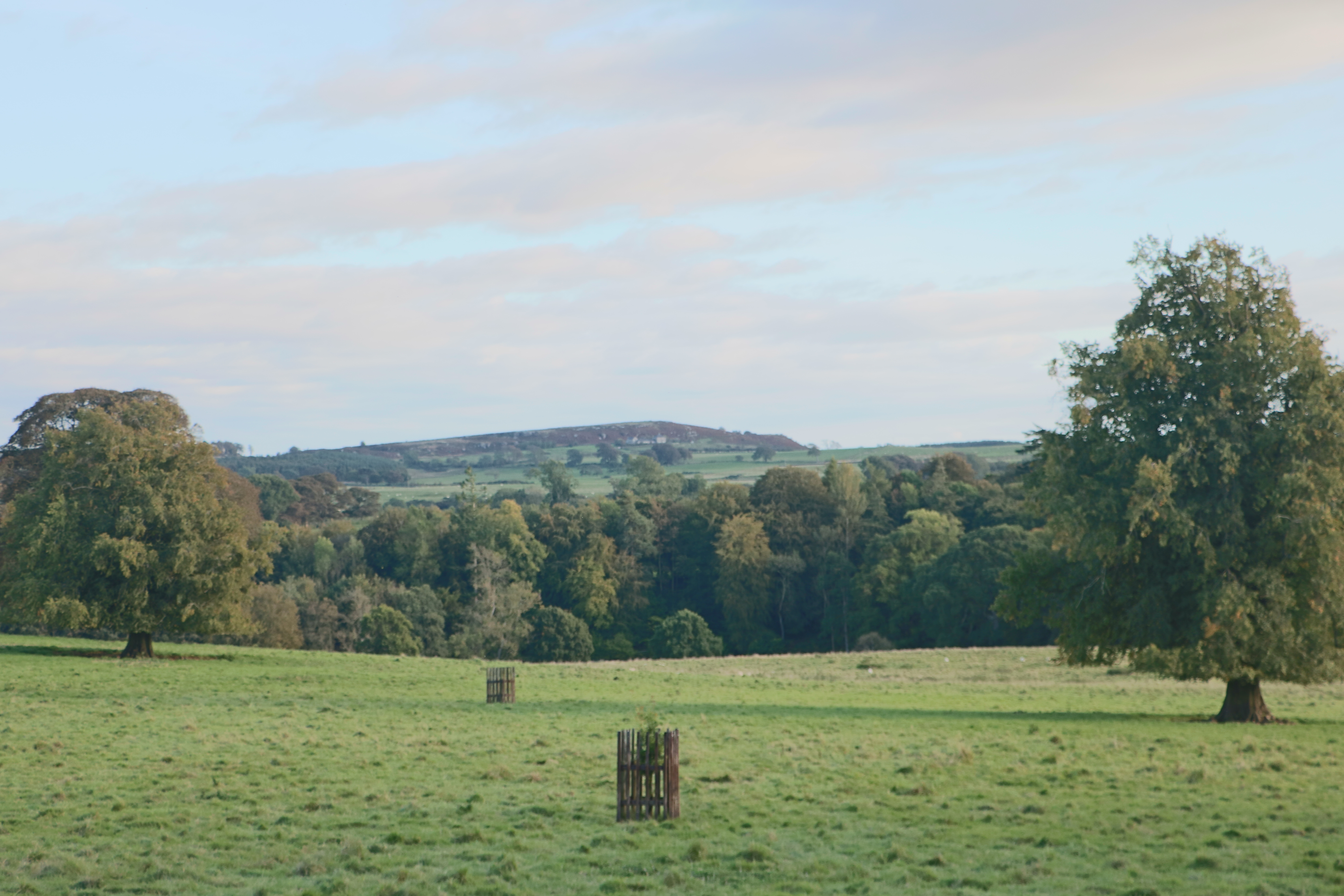[
Wallington.  02 October 2019.
        ]