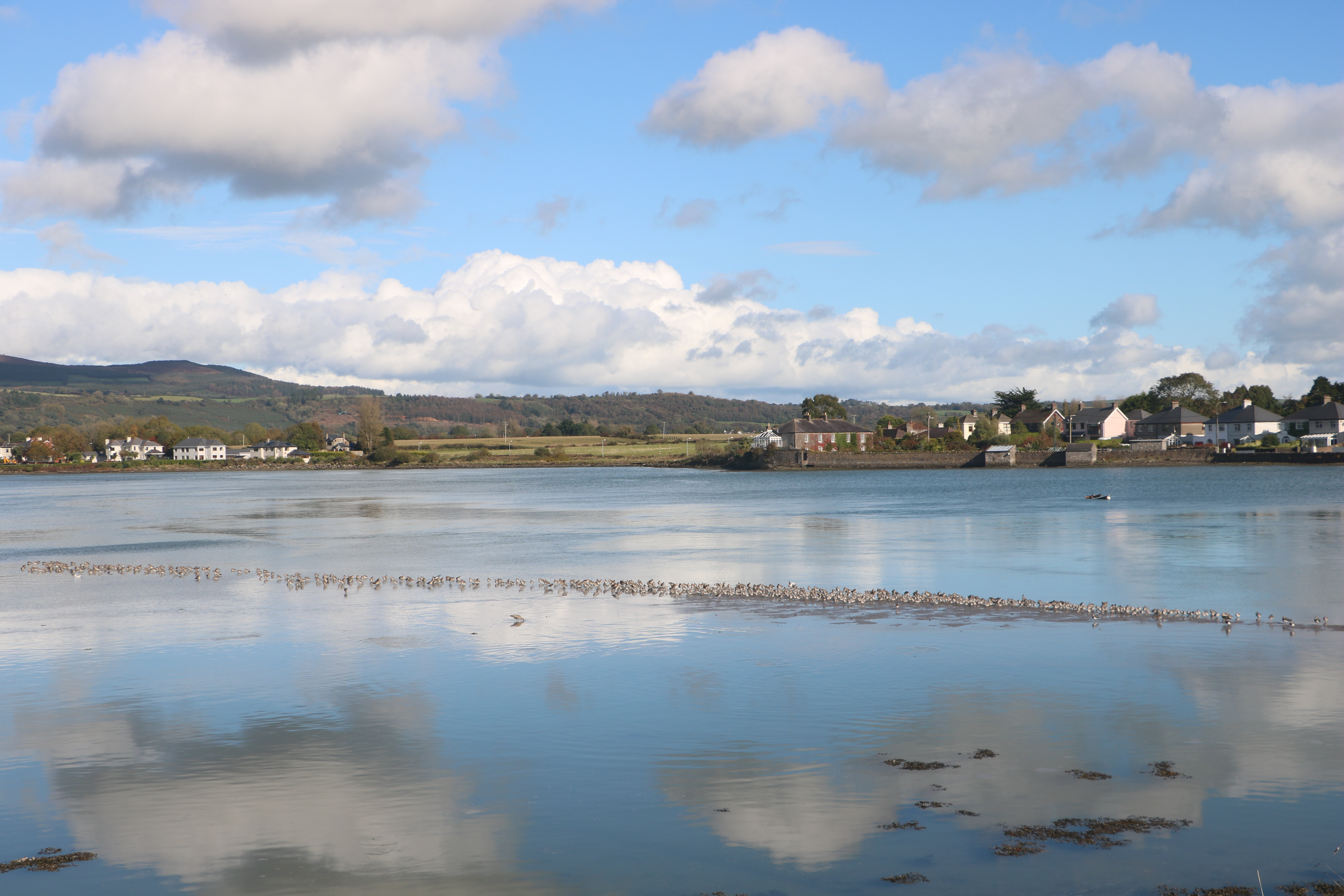 [
Colligan River, Dungarven.  24 October 2019.
        ]