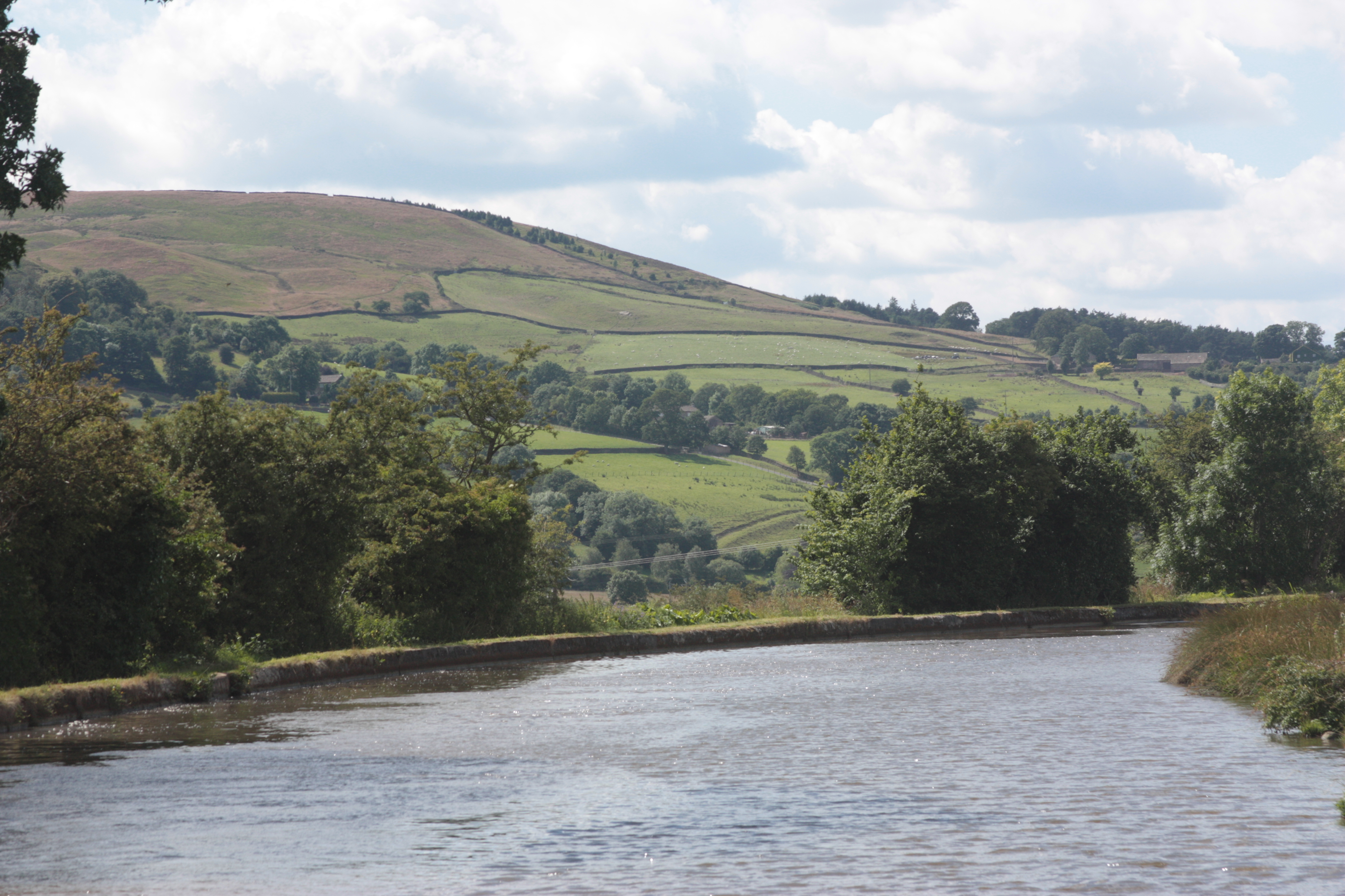 [
Leeds and Liverpool Canal near Low Bradley.  9 July, 2014.
        ]