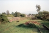 [Eden Valley railway, Warcop.  13 May 2000]