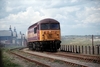 [North Blyth Alcan.  29 May 2000]