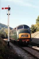 [1995J008]