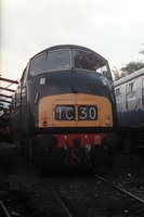 [1995J033]