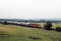 [1998G013]