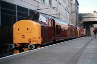 [1999D002]