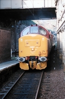 [1999D004]