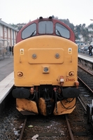 [1999D006]