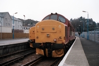 [1999D009]