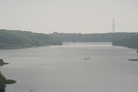 [IMG_0416]