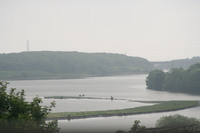 [IMG_0420]