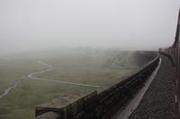 [IMG_2368]