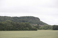 [IMG_2391]
