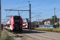 [IMG_1365]